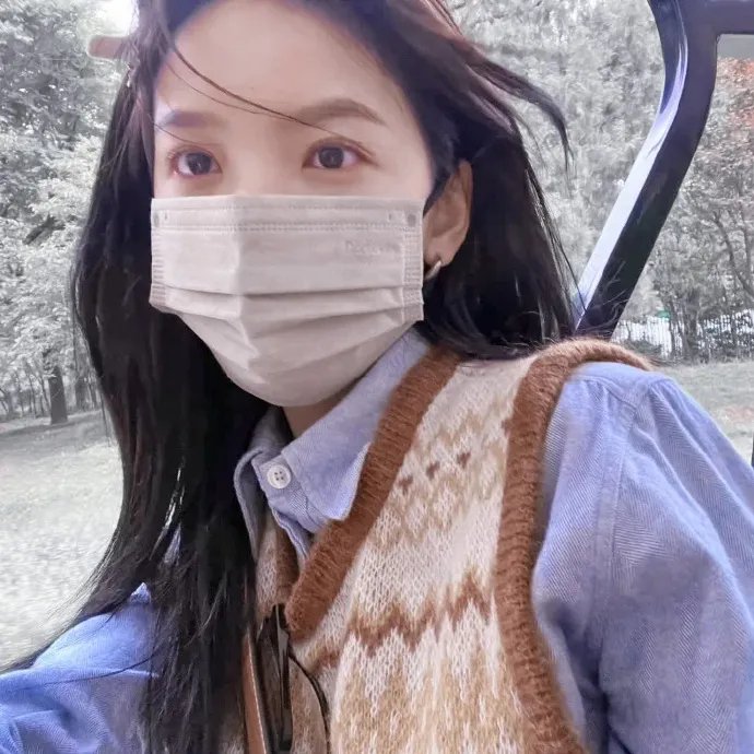 与鲨鱼游弋